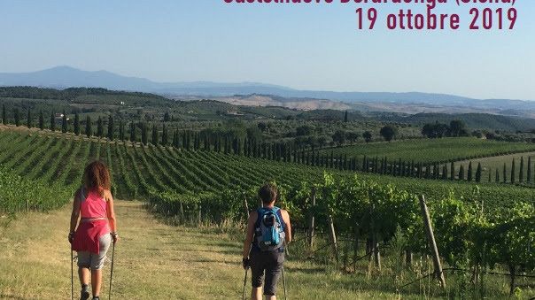 Nasce il 1° Trekking Ecomaratona del Chianti Classico