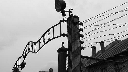 Giorno della Memoria: programma ricco a Firenze