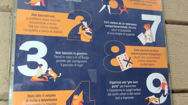 Firenze, campagna anti-botti per proteggere gli animali: c'è un decalogo