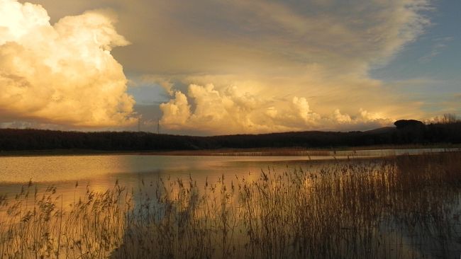 Feste di primavera tra sapori e profumi, mostre e musei, natura e sport
