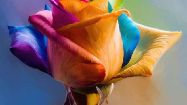 Scritta omofoba nel Quartiere 5