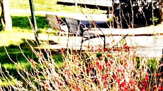 Giardino della Bizzarria: rigenerazione urbana della piazza