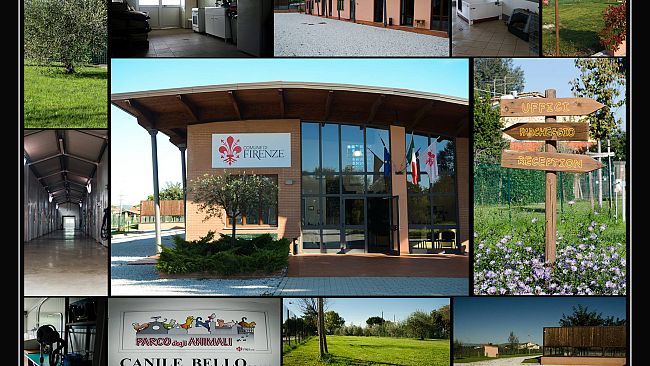 Al Parco degli animali torna la Festa dei doni