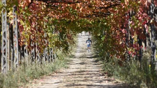 Ecomaratona Chianti Classico: vince Giorgio Calcaterra