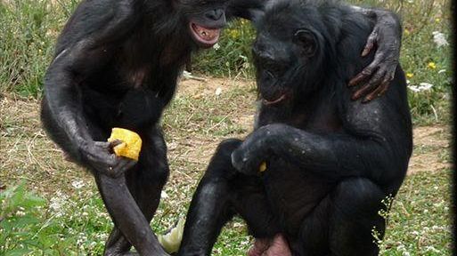 Toscani cercano coccole per ritrovare autostima