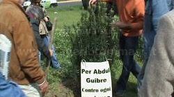 Un albero per Abdul Guibre