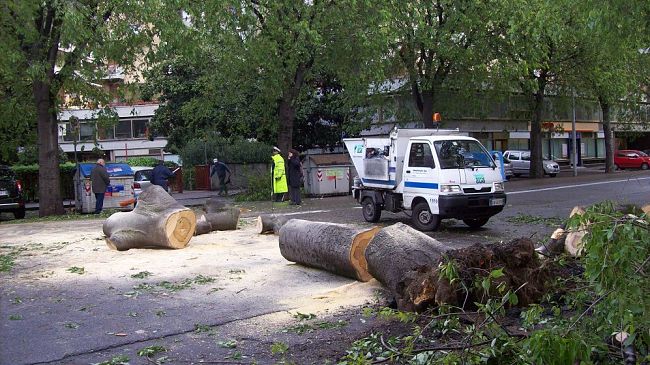 Tragedia alle Cascine, morta al Meyer di Firenze la bimba colpita dal ramo