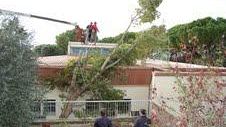Vento forte, albero cade su una scuola vicino a Firenze