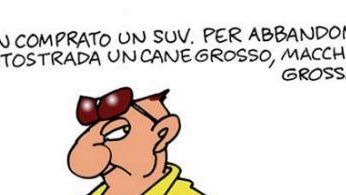 Vacanze con i fiocchi: le campagna della Provincia contro gli incidenti e di Legambiente contro l'abbandono di animali