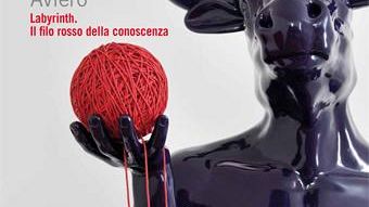 Aviero a Follonica con Labyrinth