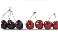 Campagna estiva di Avis Toscana