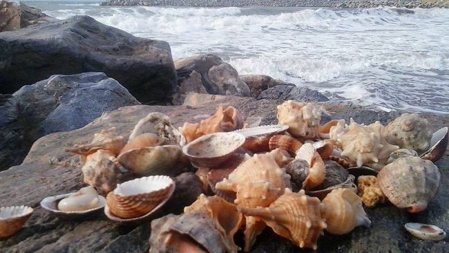 Codice arancione per mareggiate in Toscana