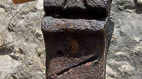 Gatti, cavalli e draghi sui muri di Firenze