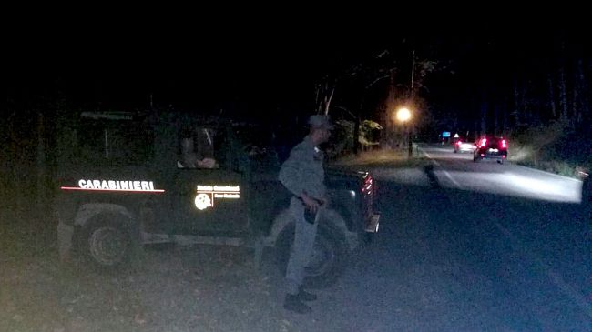 Canguro morto sulla strada investito da un’auto