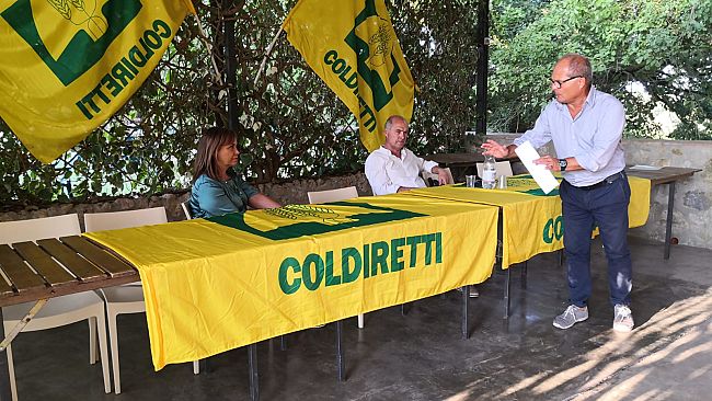 Alta qualità del grano e prezzi minimi: il “Granaio Siena” rischia di esplodere