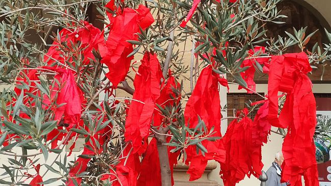 No violenza sulle donne: 25 novembre, piazza Signoria gremita