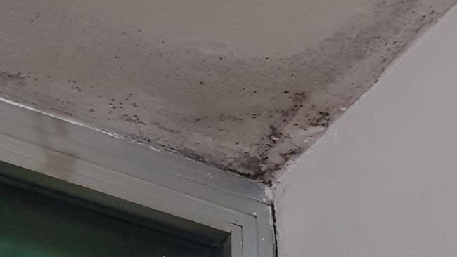 Erp Rocca Tedalda, un caso di muffa e infiltrazioni d'aacqua