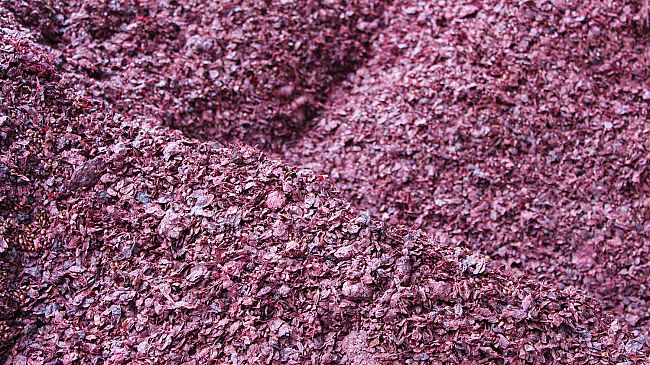 Grapperie Aperte domenica 7 ottobre