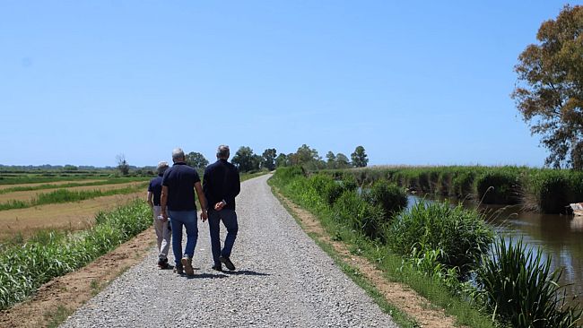 Lago di Massaciuccoli: rialzati e rafforzati gli argini