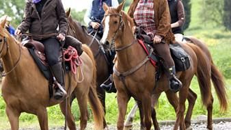 Cade escursionista a cavallo