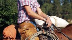 Cavalli al femminile