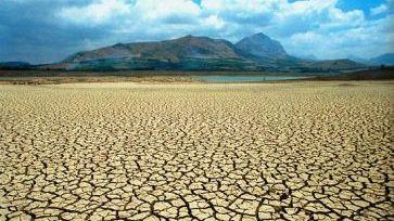 Generazione Kyoto: al via domani all'Auditorium Stensen