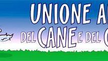 Canile: il Tar respinge i ricorsi contro la demolizione dei manufatti abusivi