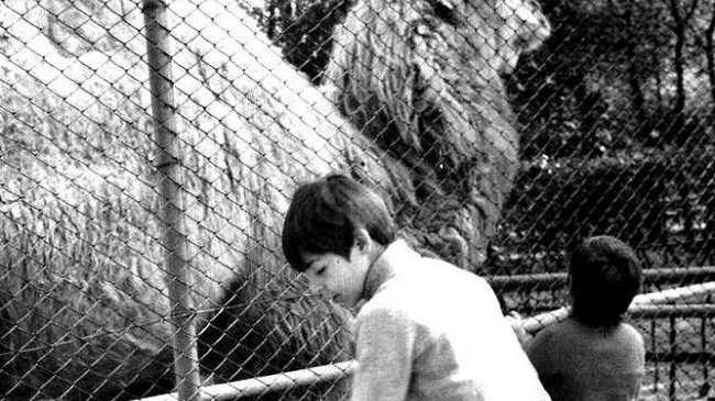 Alluvione 1966: i fiorentini chiedono una statua per Canapone