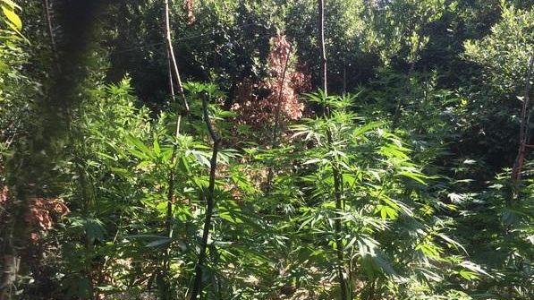 Inaugurato il giardino pubblico di via del Gelsomino, alle Due Strade