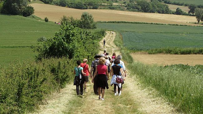 Due nuove scuole e una rinnovata nelle province di Firenze, Pisa e Pistoia
