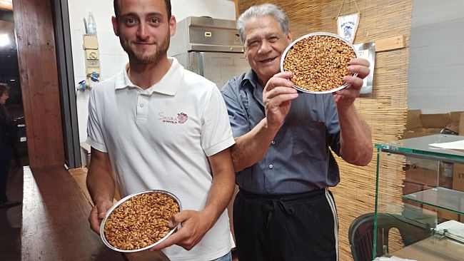 La pinolata, dolce dal gusto unico nato tra i boschi