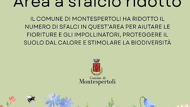 Apicoltura, allarme di Coldiretti