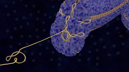 Ulisse, su Rai 3 una grafica 3D prodotta a Siena