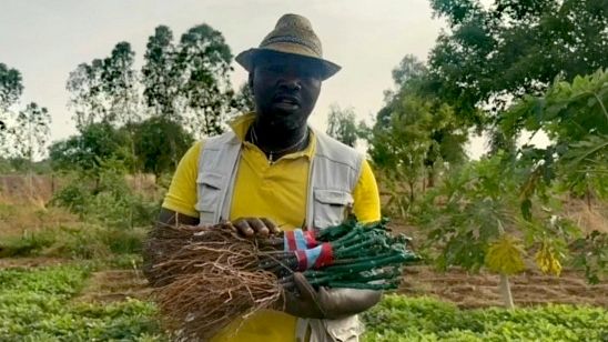 Un vigneto toscano in Burkina Faso