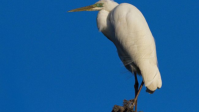 Ponte dell'Immacolata: eventi per tutti i gusti fino a domenica