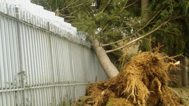 Vento di libeccio in Alto Mugello