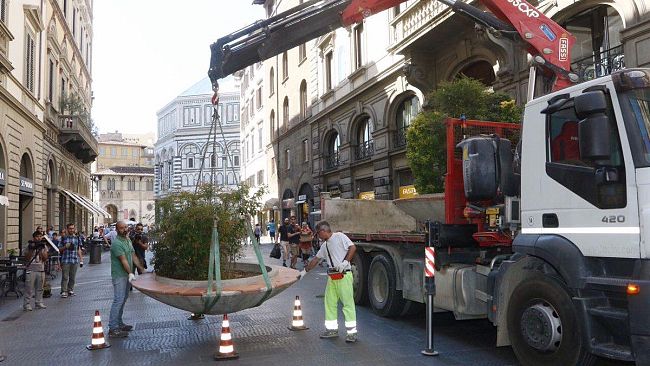 Piante e panchine contro il terrore: Raccontateci perché non piacciono