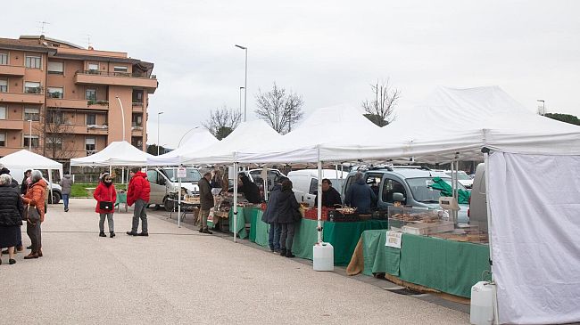 Tornano le feste dell’'olio novo'