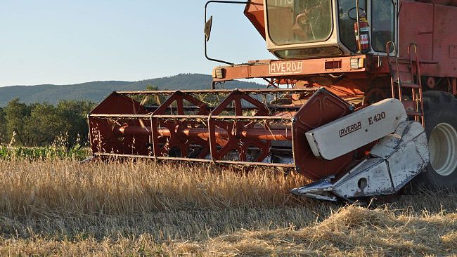 Saccardi, incontro in streaming con i produttori della Filiera Drago