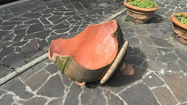 Baby gang, l'analisi degli Psicologi Toscani