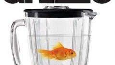 Beppe Grillo: <i>Delirio</i> a Firenze il 30 e 31 gennaio 2009