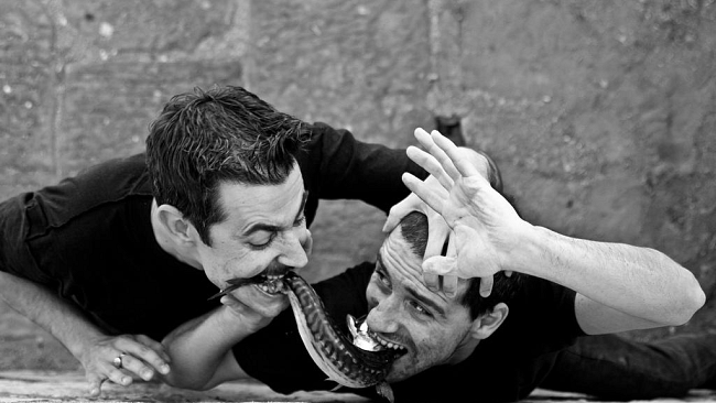 Gatti Mezzi a Castiglione d'Orcia