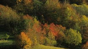 Agricoltura toscana, uno spazio nel segno della sostenibilità