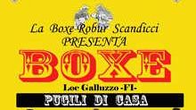 Boxe al Galluzzo