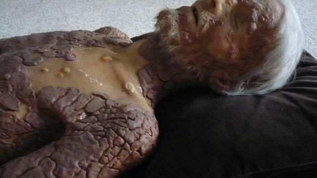 Museo di Storia Naturale, apertura straordinaria a Careggi