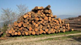 Convegno sull'edilizia sostenibile in legno a Rignano sull'Arno