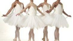 Grandiva: in esclusiva per la Toscana, domenica 4 marzo alle ore 17, il Teatro Verdi ospiterà la dotatissima e provocante compagnia newyorchese