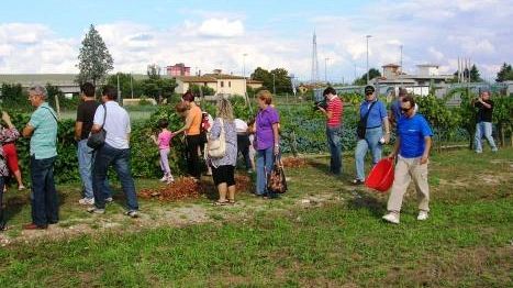 Buon compleanno Cooperativa Agricola Legnaia