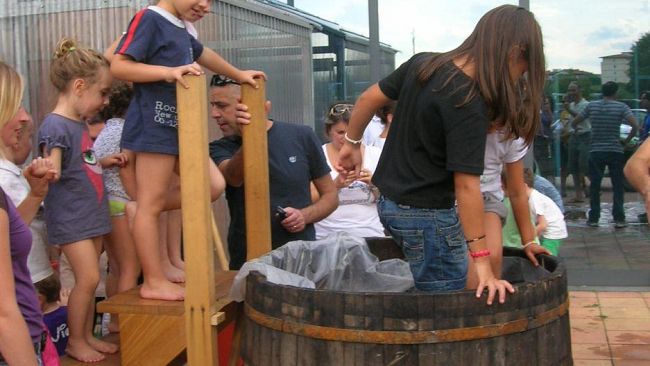 Alla Legnaia la vendemmia dei bambini