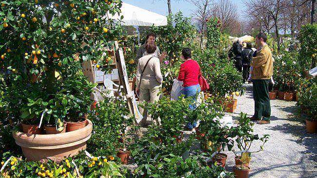 Florovivaismo in Toscana: con il bonus, crescono investimenti su giardini privati